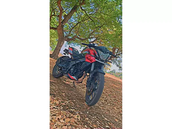 2023 Bajaj Pulsar ABS - BS IV - Image 3